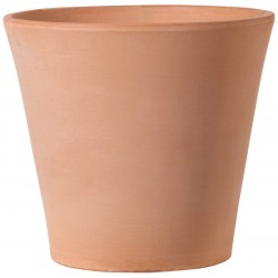 Cone WHITE GARDEN terre...