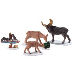 Animaux Sauvages...