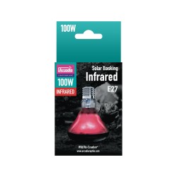 ARCADIA SOLAR BASKING...