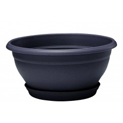 Coupe + soucoupe LOTUS Ø35...