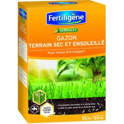 Semence Gazon Terrain Sec...