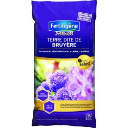 Terre Dite De Bruyere Uab...