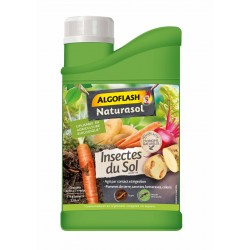 flacon insecticide du sol...