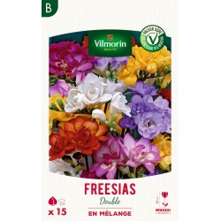 VILMORIN SÉLECTION FREESIAS...