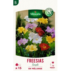 VILMORIN SÉLECTION FREESIAS...