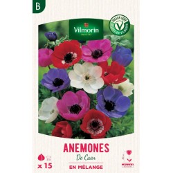 VILMORIN SÉLECTION ANÉMONE...