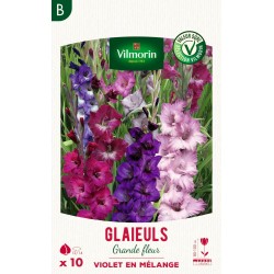 VILMORIN SÉLECTION GLAÏEULS...