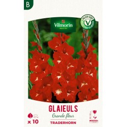 VILMORIN SÉLECTION GLAÏEULS...