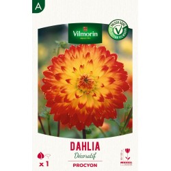 VILMORIN SÉLECTION DAHLIA...