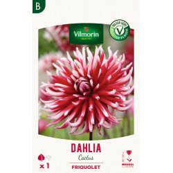 VILMORIN SÉLECTION DAHLIA...