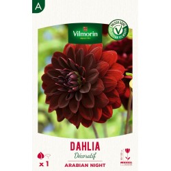 VILMORIN SÉLECTION DAHLIA...