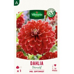 VILMORIN SÉLECTION DAHLIA...