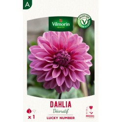 VILMORIN SÉLECTION DAHLIA...