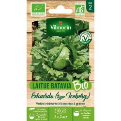 VILMORIN LAITUE BATAVIA BIO...