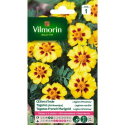 VILMORIN OEILLET D'INDE...