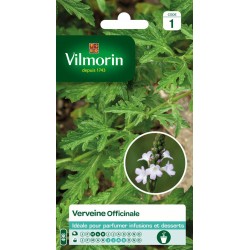 VILMORIN VERVEINE...