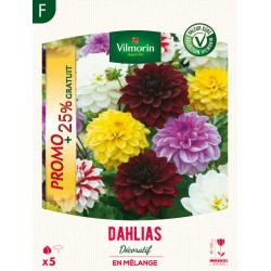 VILMORIN SÉLECTION...