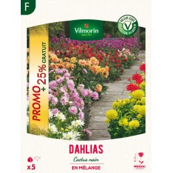 VILMORIN SÉLECTION...