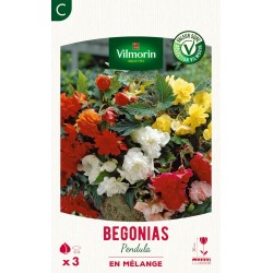 VILMORIN SÉLECTION BEGONIAS...