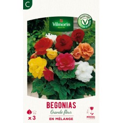 VILMORIN SÉLECTION BEGONIAS...
