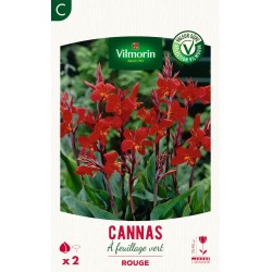 VILMORIN SÉLECTION CANNAS À...