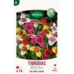 VILMORIN SÉLECTION...