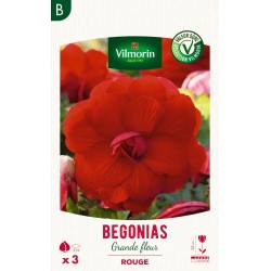 VILMORIN SÉLECTION BEGONIAS...