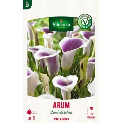 VILMORIN SÉLECTION ARUM...