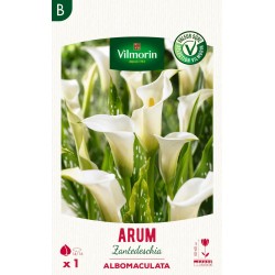 VILMORIN SÉLECTION ARUM...