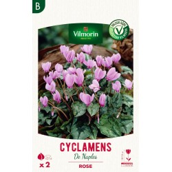 VILMORIN SÉLECTION CYCLAMEN...
