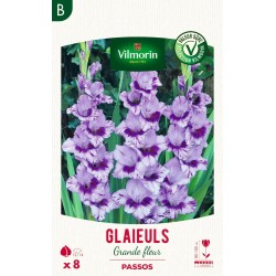 VILMORIN SÉLECTION GLAÏEULS...