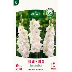 VILMORIN SÉLECTION GLAÏEULS...