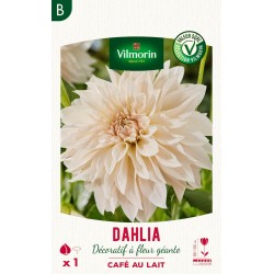 VILMORIN SÉLECTION DAHLIA...