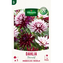VILMORIN SÉLECTION DAHLIA...
