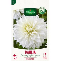 VILMORIN SÉLECTION DAHLIA...