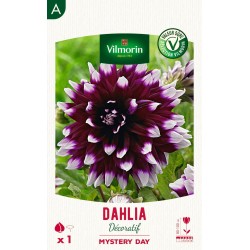 VILMORIN SÉLECTION DAHLIA...