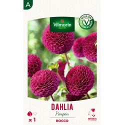 VILMORIN SÉLECTION DAHLIA...