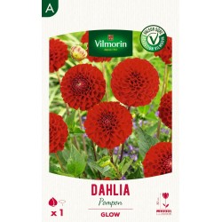 VILMORIN SÉLECTION DAHLIA...