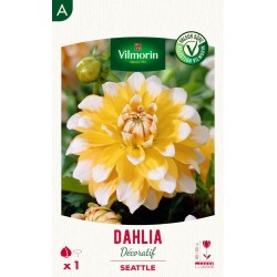 VILMORIN SÉLECTION DAHLIA...