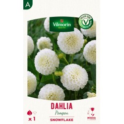 VILMORIN SÉLECTION DAHLIA...
