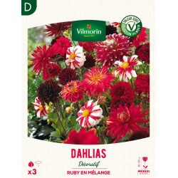 VILMORIN SÉLECTION DAHLIAS...