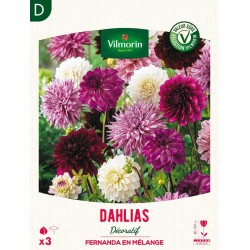 VILMORIN SÉLECTION DAHLIAS...