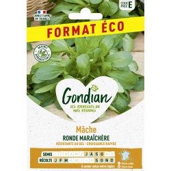 GONDIAN FORMAT ÉCO-Mâche...