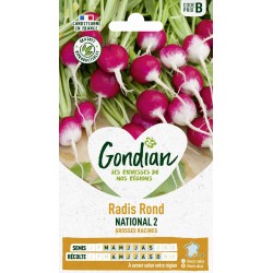 GONDIAN Radis Rond NATIONAL...