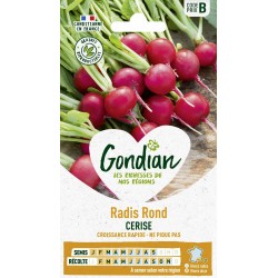 GONDIAN Radis Rond CERISE...