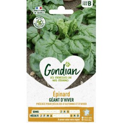 GONDIAN Épinard GÉANT...