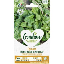 GONDIAN Épinard MONSTRUEUX...