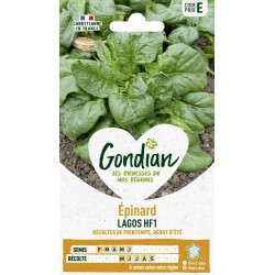 GONDIAN Épinard LAGOS HF1...