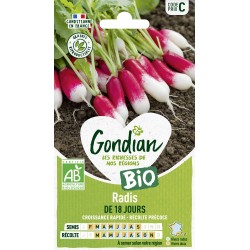 GONDIAN BIO-Radis DE 18...