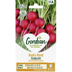 GONDIAN Radis Rond ÉCARLATE...